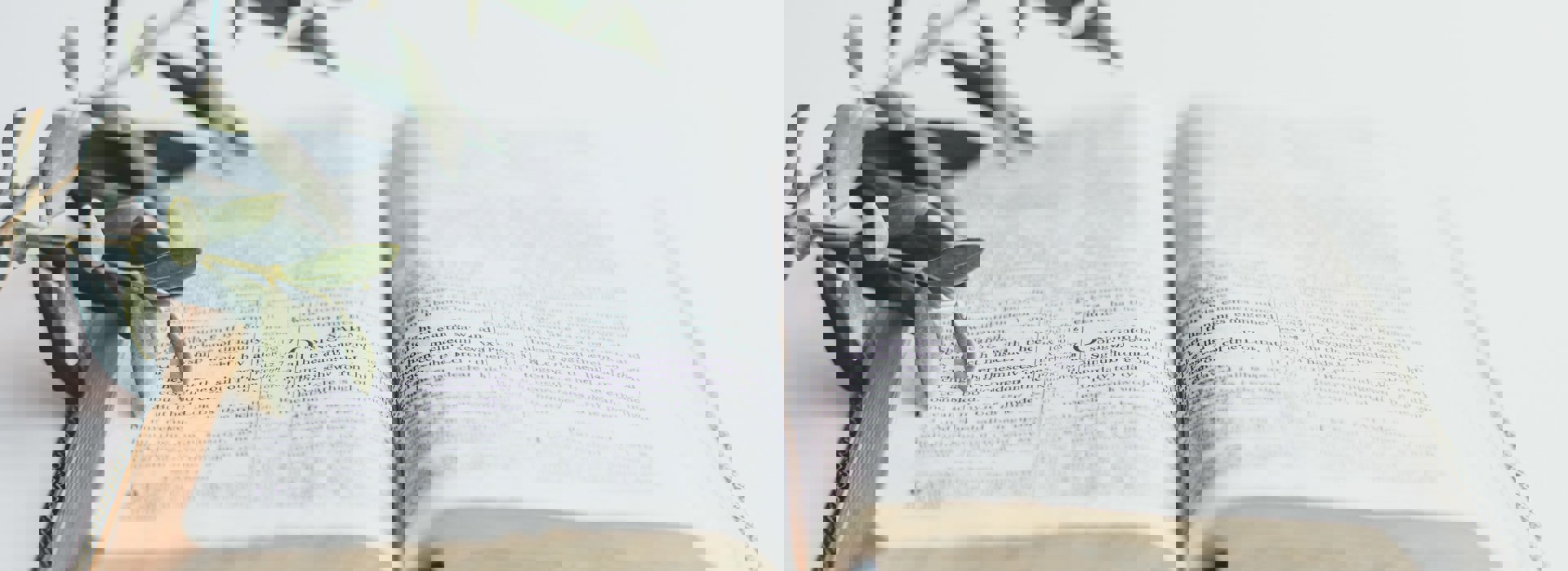 Hero Image